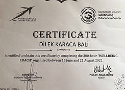 Wellbeing koçluğu sertifikası