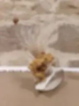 SPIRIT – Pique-fleurs en duo | Vases artisanaux en faïence blanc et or - Fait main - Made in France