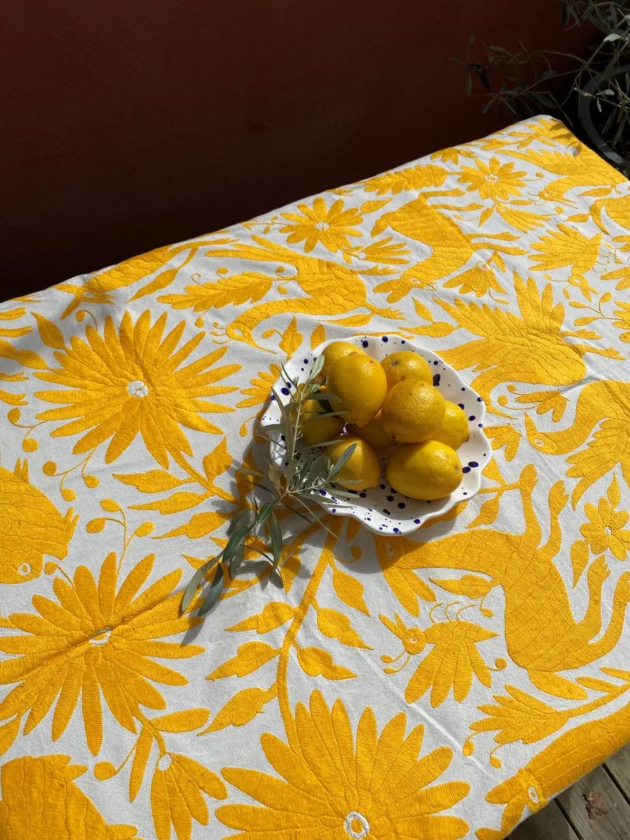 Toile brodée jaune – Un chef-d’œuvre artisanal de Hidalgo - Nappe de table