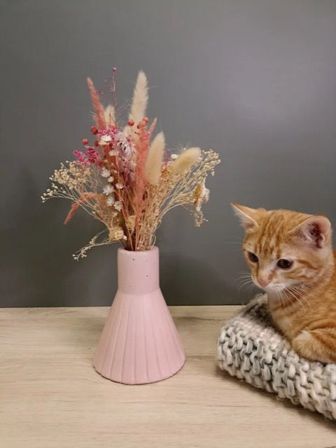 Vase en beton - Décoration Intérieur - Vase de fleurs – Petite  Décoration - Kent rose chat