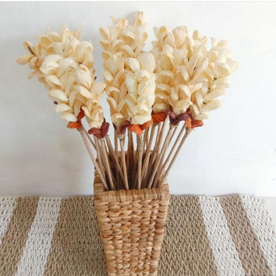 plante - interieur - deco boheme - artisanat 