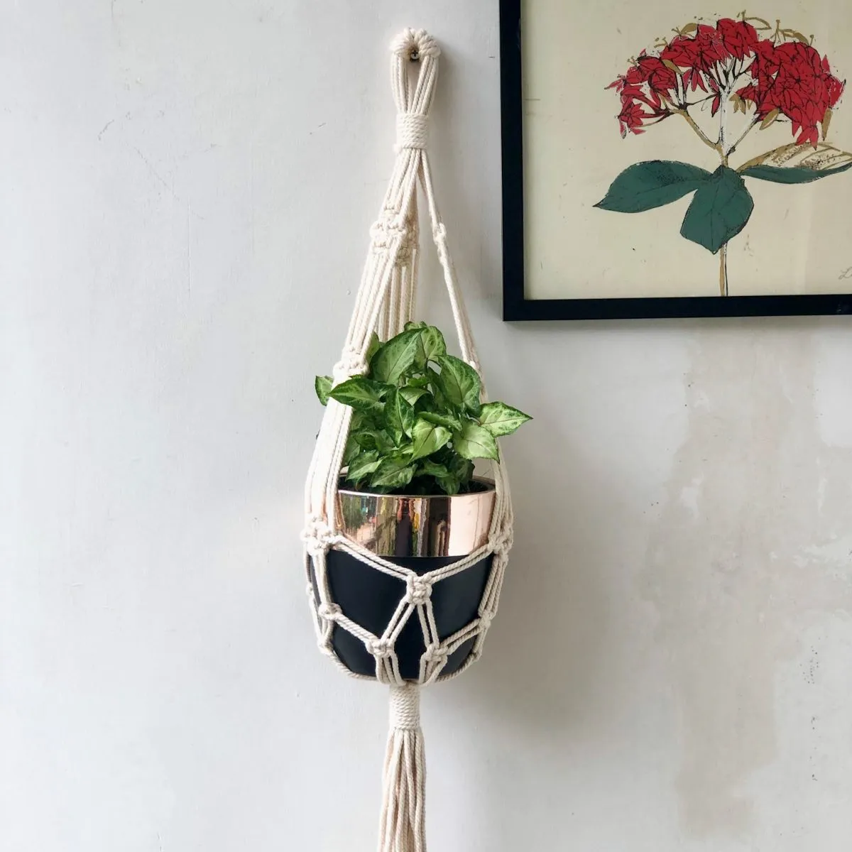 Décoration Intérieure : Porte-Plante en Macramé 'Bombay' - Suspension en macramé - Fait main