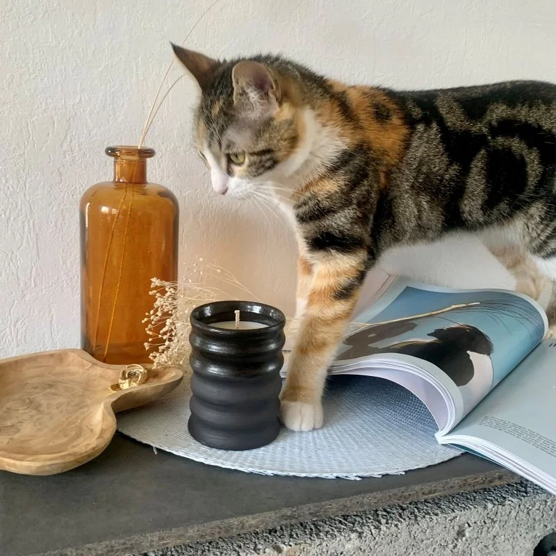 Bougie artisanale - Bougie ceramique - Fait main - Made in France