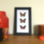 Noir Blanc Papillons Oranges - Tableau Origami en Papier « Tableau papillons » - Déco murale - Papier Origami