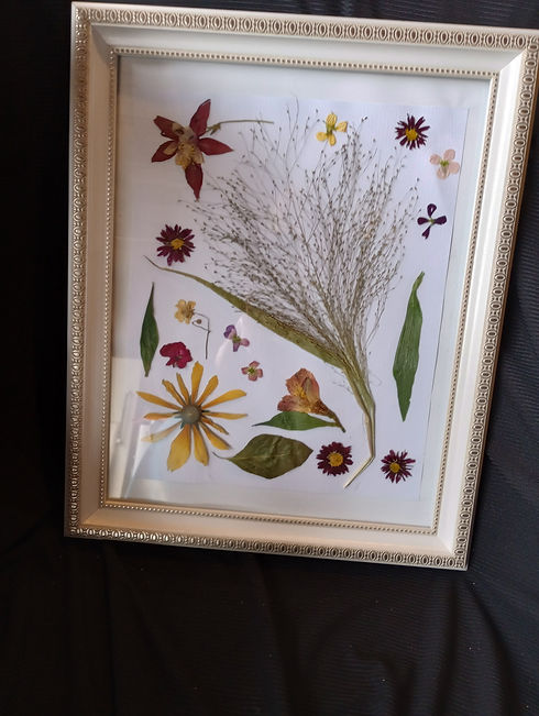 pressed flowers.jpg