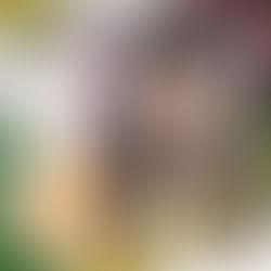 淘宝平价腮红 JUDYDOLL橘朵 润色丝滑单色腮红☺️☺️❤️