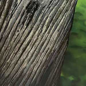 Hommage à l’inconnu