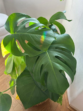 50 Redenen Waarom Je Vandaag Moet Stilstaan: De Onzichtbare Rijkdom Die Je Bezit