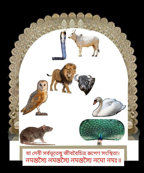 WhatsApp Image 2021-10-14 at 11.23.53 AM.jpeg