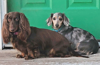 f6af7372-84da-46bd-9039-08bbdbd6a4f3 (1)_edited_edited.png