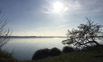 IMG_0490.JPG