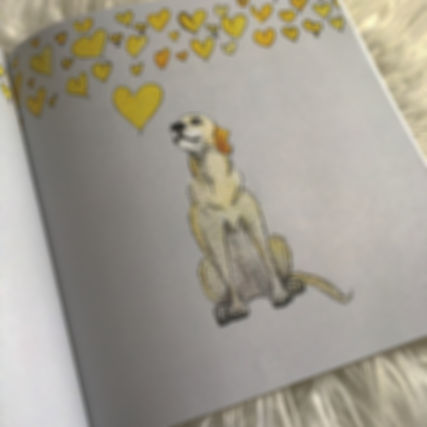 golden retriever looks to the sky