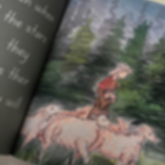 A shepherd walks with his flock
