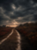 c6d24dd8-2f1c-4ec4-8c10-590ead6bf36d_edited.jpg