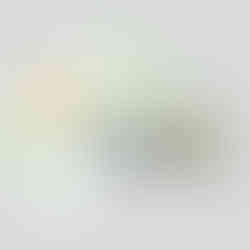 Eprimo Selfmailer Gas