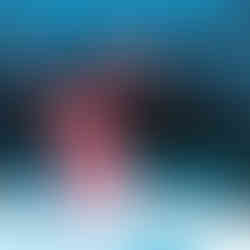 Aus einer Fotovorlage setzte ich diese Illustration aus über 13.000 Polygonen zusammen