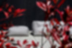 BRYCK RED