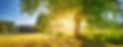 AdobeStock_315157486.jpeg