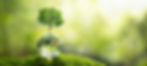 AdobeStock_518313401.jpeg