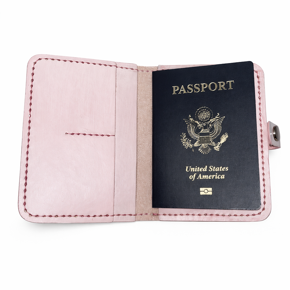 Thumbnail: Pink Passport Holder
