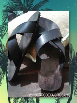 80716167_111466520353861_391218770306767