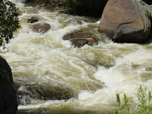 Fellow Warrior Whitewater