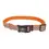 Thumbnail: Coastal LazerBrite Orange Ring Collier & Laisse