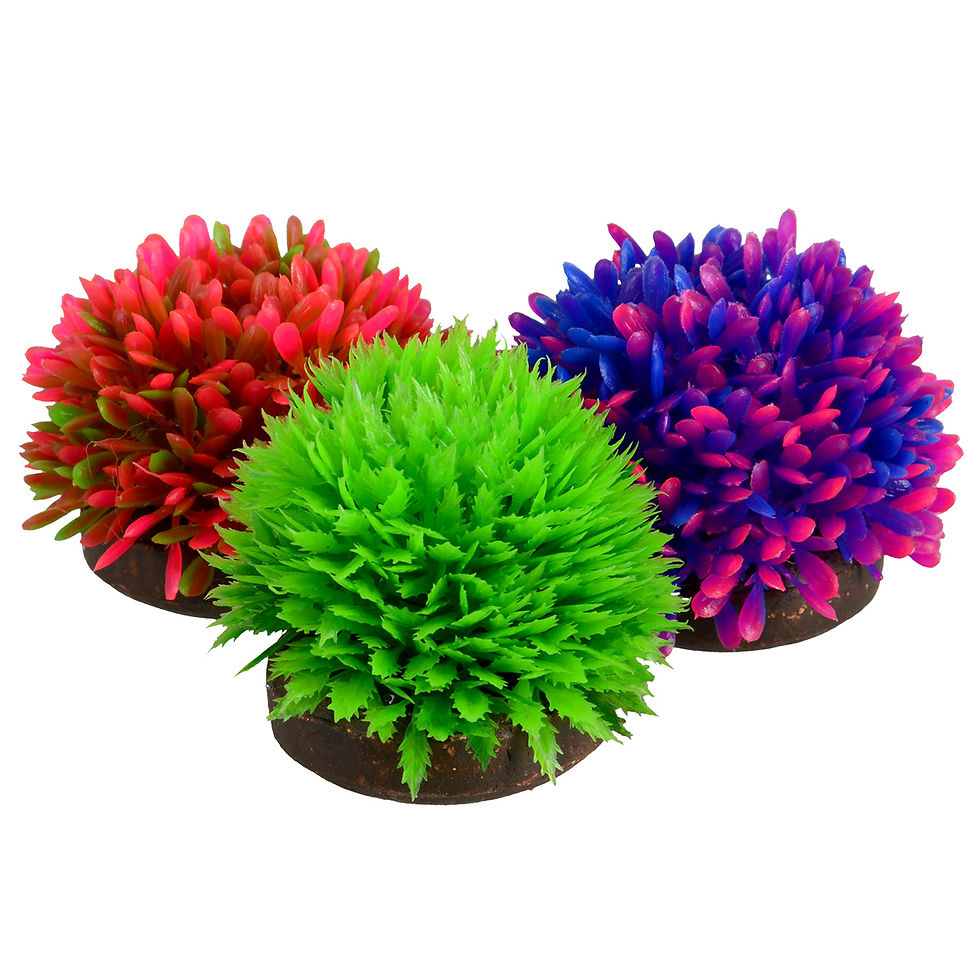 Underwater Treasures Foreground Plant Balls - 3pk