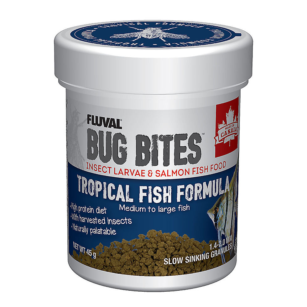 Fluval Bug bites - Aliments pour poissons tropicaux (moyens/gros)