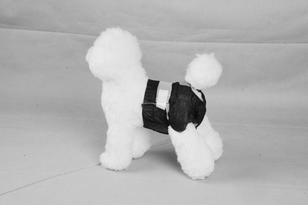 Pawise couche jetable pour chien