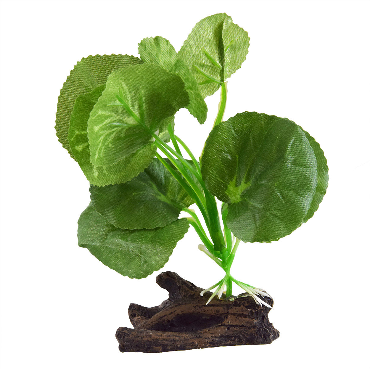 Underwater Treasures Hydrocotylédone en soie