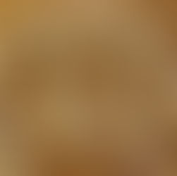 Fate Gingerbread Men