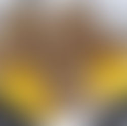 Fate Chocolate and Orange Cake