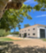 Terra Quinta Workshop 2