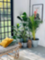 Terra quinta workshop detail2