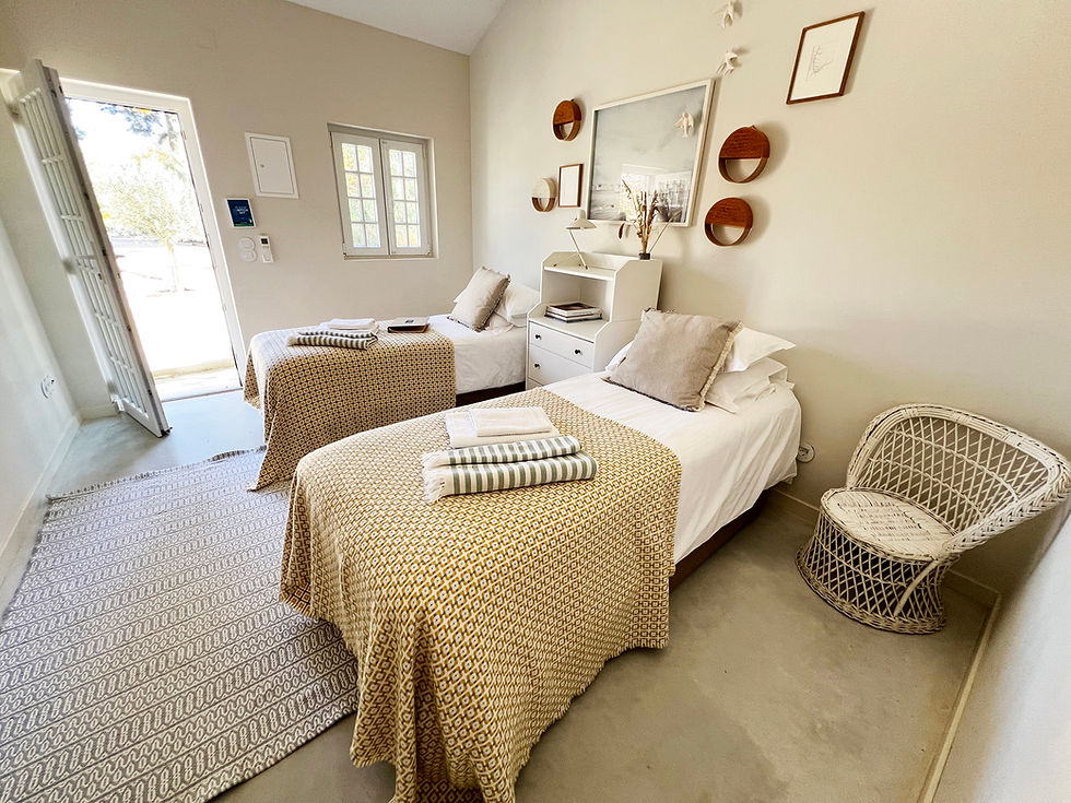 Room-5-terrra