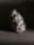B9751171.jpg