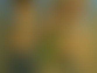 夕暮れロマンに照らされて……。秋の防犯WALKは、フォースとともに!