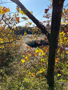 2022-10-15_Rox_Reservoir_G_Gould.JPEG