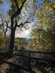 2022-10-22_Path_by_Shawmont_G_Gould.JPEG