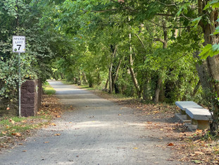 Path-by-Miquon-1-Station-Georgie-Gould.JPEG