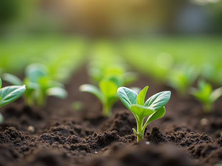 Are You Sure You're Ready to Trade Your Smartphone ?