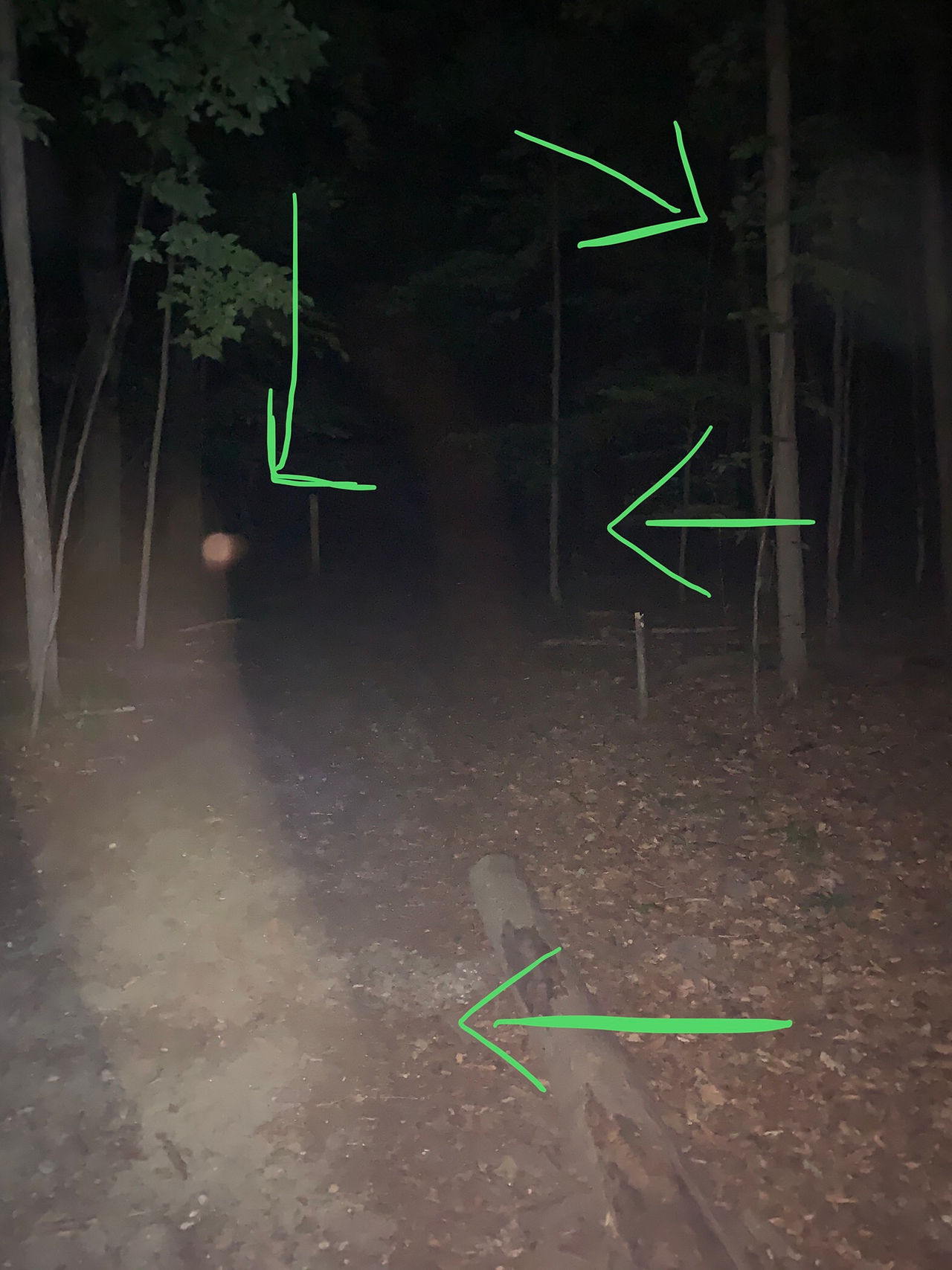 Red Orb Captured