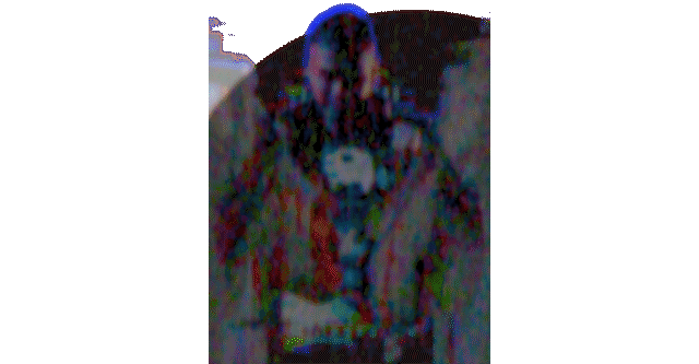 ARTISTA.gif