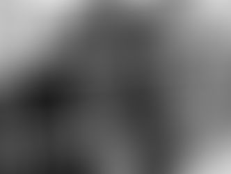 Październik miesiącem dobroci dla zwierząt!