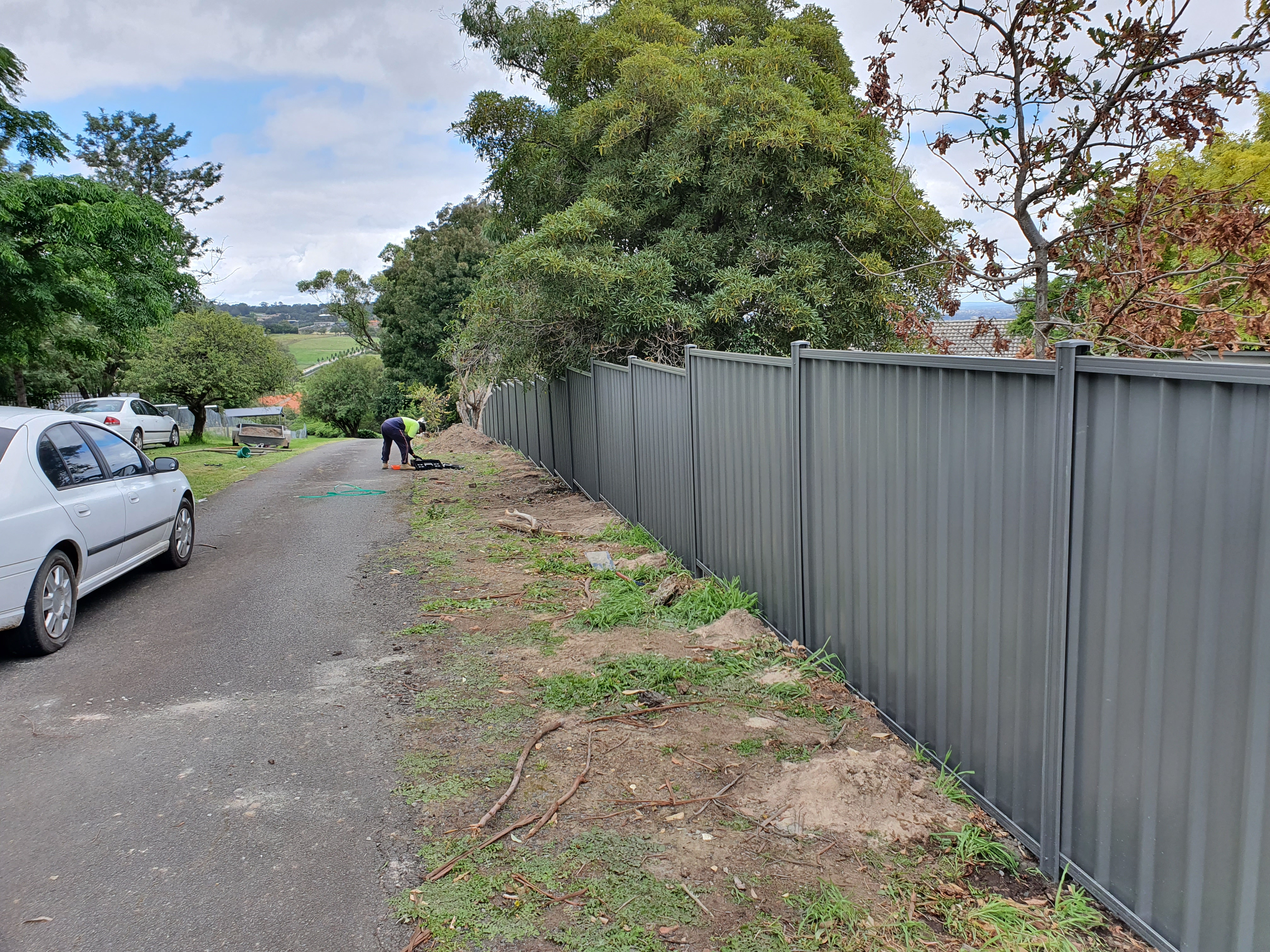 Colorbond Fence
