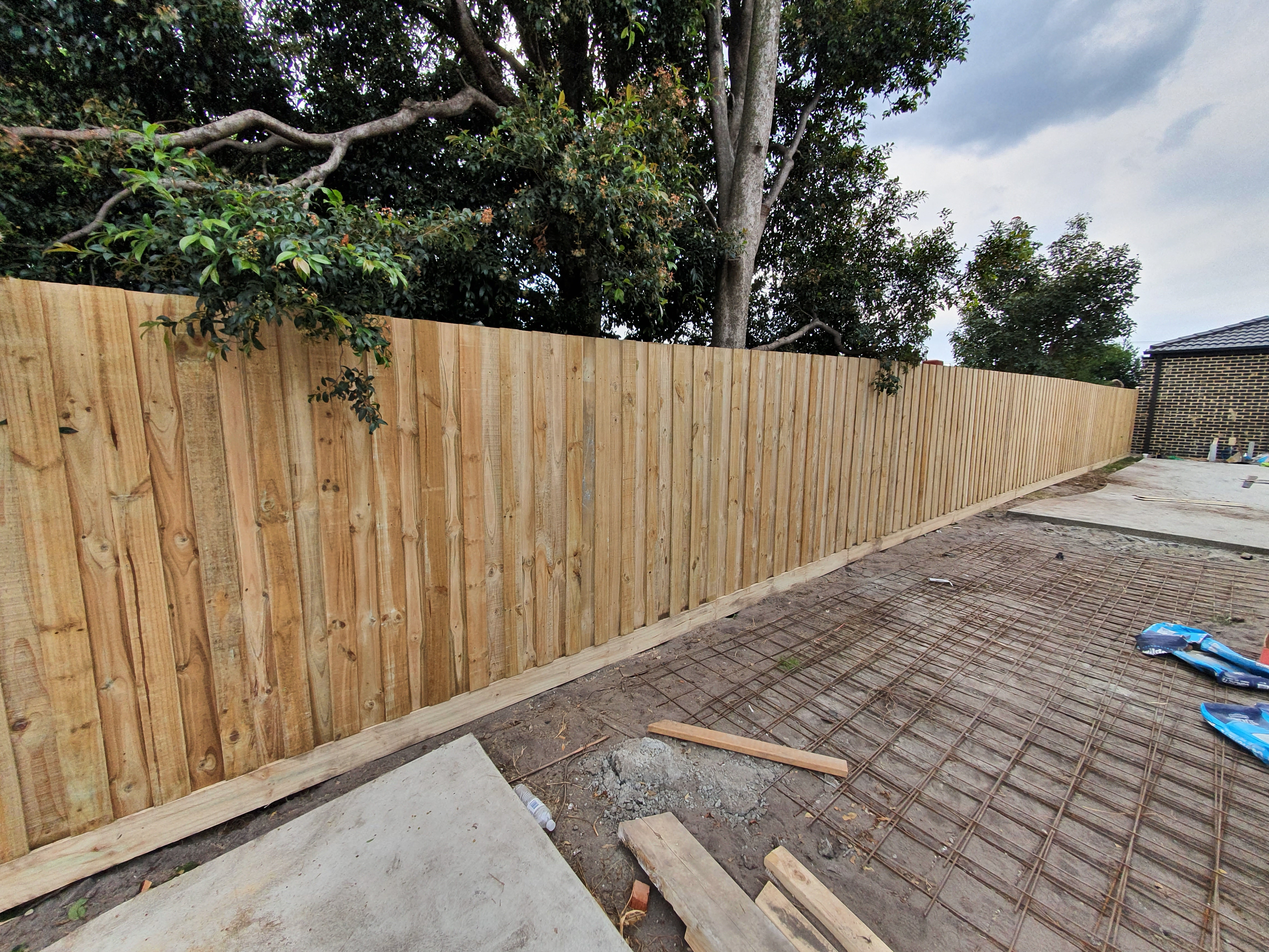 Paling Fence