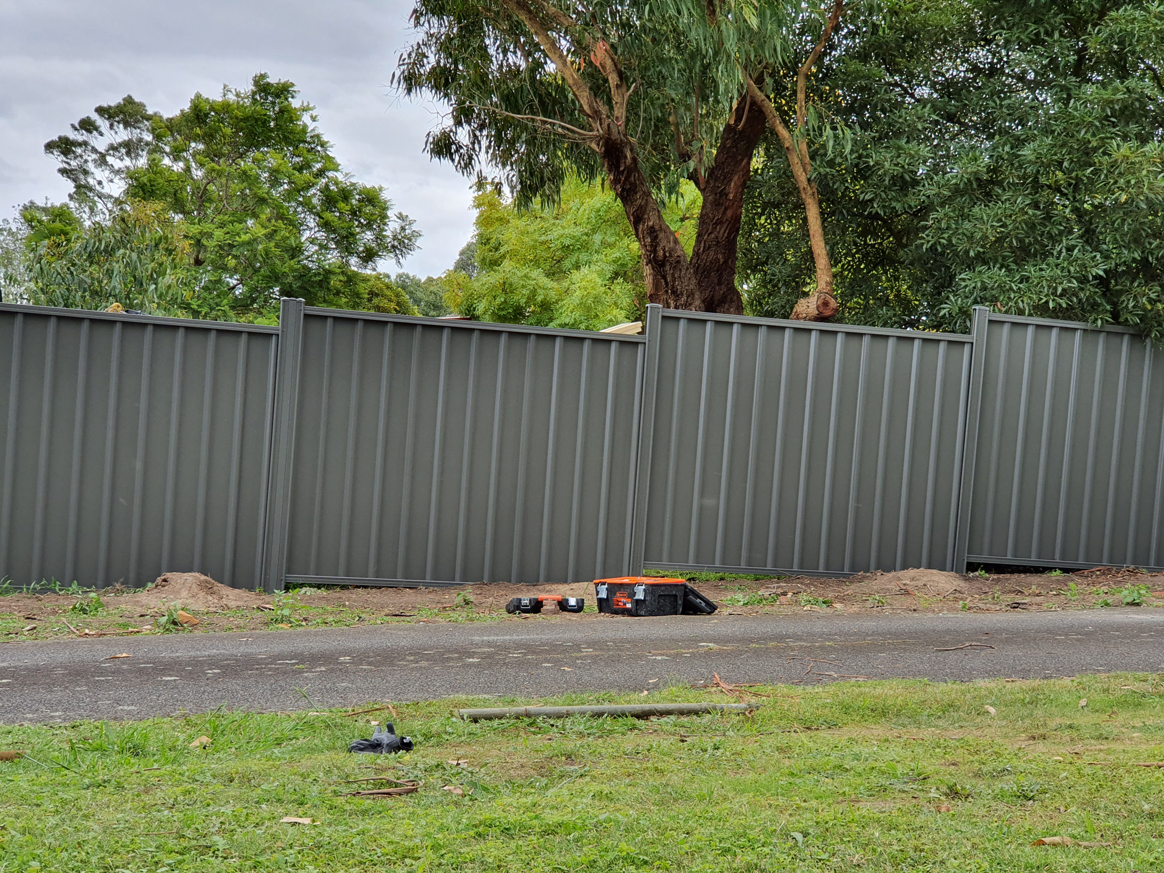 Colorbond Fence