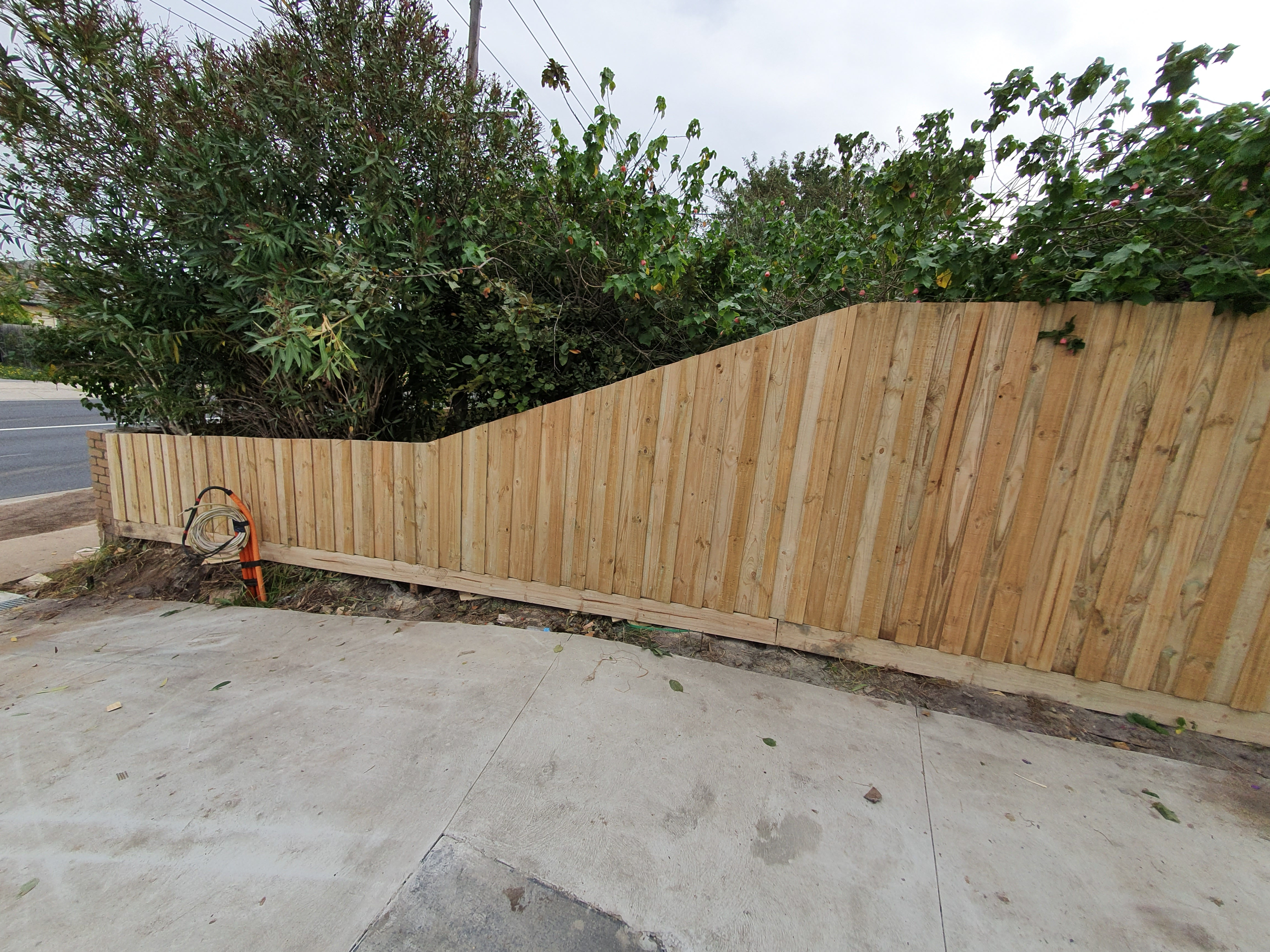 Paling Fence
