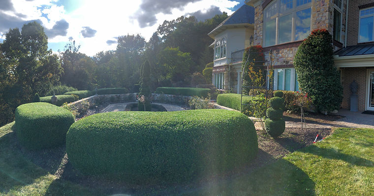 Bushes are nicely trimmed